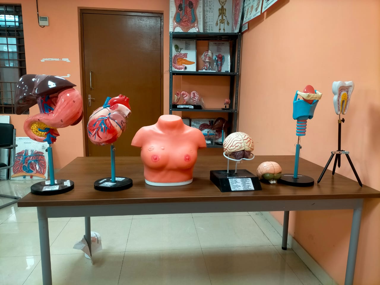 deprt_gallery_img